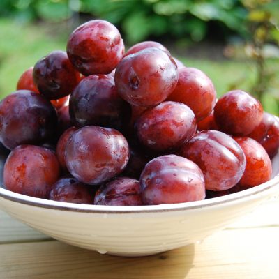 AU Roadside Plum fruit trees