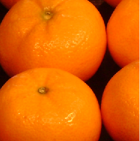 Seto Satsuma