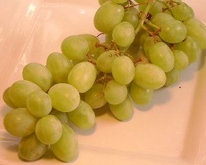 NIAGARA WHITE (JELLY)