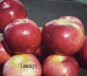 Liberty apple
