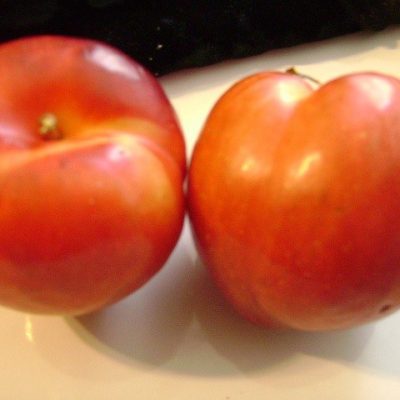 BRUCE PLUM