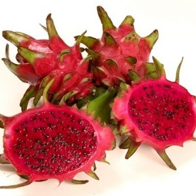 dragon fruit