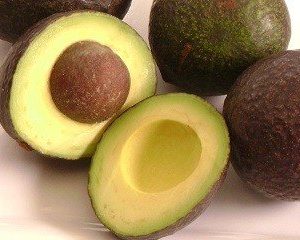 MEXICOLA Hass Avocado Tree