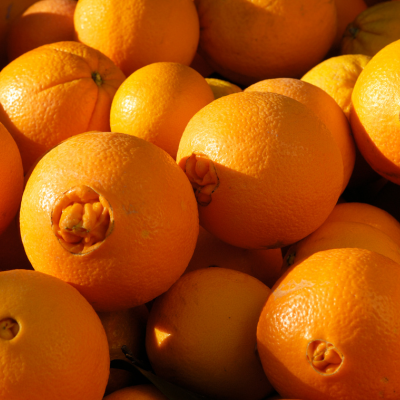 navel oranges
