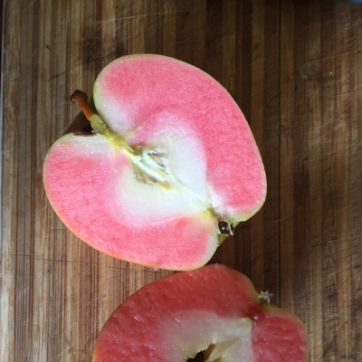 Fruit from Airlie apple tree